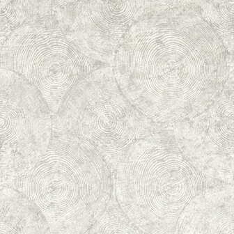 Clarke &amp; Clarke Expressions Performance Wallpapers - Beige W0209/04