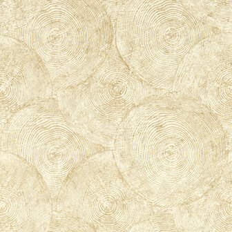 Clarke &amp; Clarke Expressions Performance Wallpapers - Beige W0209/05