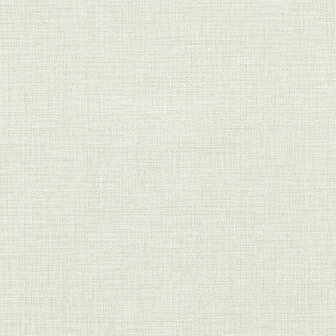 Clarke &amp; Clarke Expressions Performance Wallpapers - Beige W0210/02