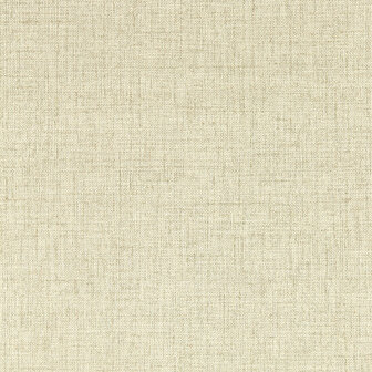 Clarke &amp; Clarke Expressions Performance Wallpapers - Beige W0210/03