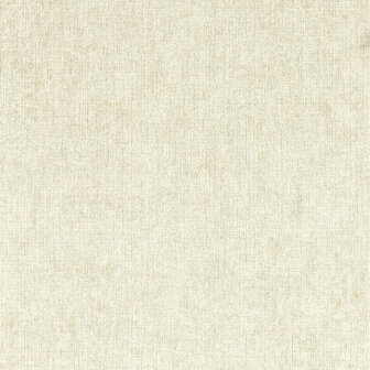 Clarke &amp; Clarke Expressions Performance Wallpapers - Beige W0212/01