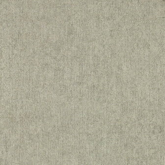 Clarke &amp; Clarke Expressions Performance Wallpapers - Beige W0212/02