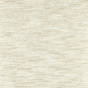 Clarke &amp; Clarke Vivido -  Beige W0178/03