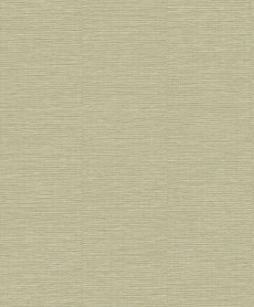 Dutch Wallcoverings Level Two LV1602 - Beige Behang