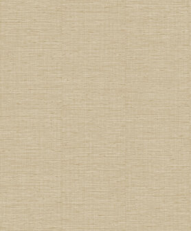 Dutch Wallcoverings Level Two LV1606 - Beige Behang