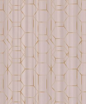 BN Wallcoverings Dimensions 219601 - Roze Behang