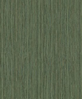 BN Wallcoverings Dimensions 219611 - Groen Behang