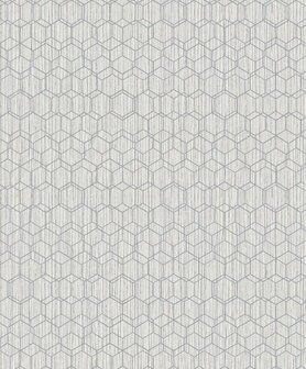 BN Wallcoverings Dimensions 219622 - Bruin Behang