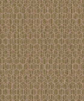 BN Wallcoverings Dimensions 219624 - Groen - Roze Behang