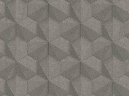 BN Wallcoverings Cubiq 220373 - Grijs Behang