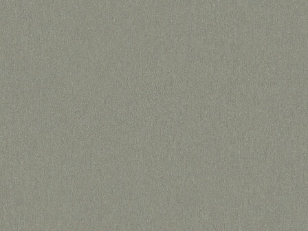 BN Wallcoverings Zen 220263 - Groen Behang