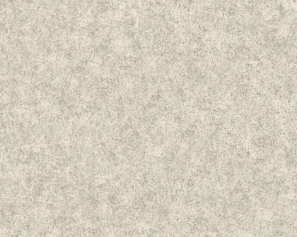 AS Creation Beton Behang 36207-5 / 362075 - Beige Behang