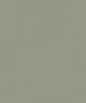 BN Wallcoverings Monochrome 221414 Groen Behang