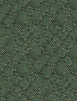 Dutch Wallcoverings Feature Walls FW4037-5 - Groen Behang