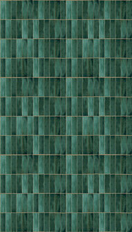 Dutch Wallcoverings Feature Walls FW4045-1 - Groen Behang