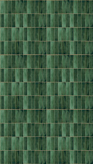 Dutch Wallcoverings Feature Walls FW4045-4 - Groen Behang