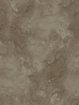 Dutch Wallcoverings Feature Walls FW4047-4 - Bruin Behang