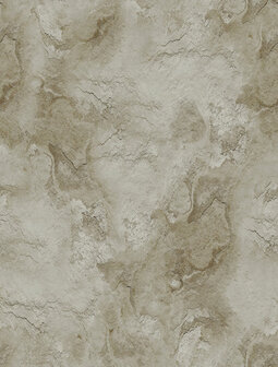 Dutch Wallcoverings Feature Walls FW4047-6 - Beige Behang