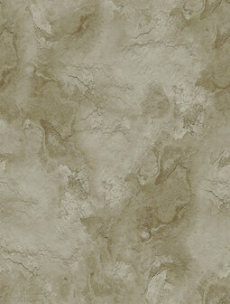 Dutch Wallcoverings Feature Walls FW4047-7 - Bruin Behang