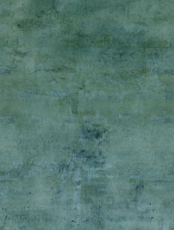 Dutch Wallcoverings Feature Walls FW4050-2 - Groen Behang