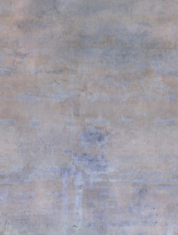 Dutch Wallcoverings Feature Walls FW4050-3 - Bruin Behang