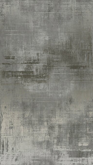 Dutch Wallcoverings Feature Walls FW4057-1 - Zilver Behang