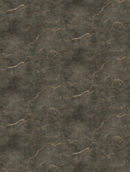 Dutch Wallcoverings Feature Walls FW4060-4 - Bruin Behang