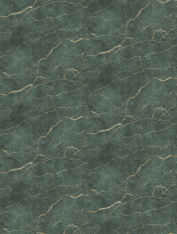 Dutch Wallcoverings Feature Walls FW4060-6 - Groen Behang