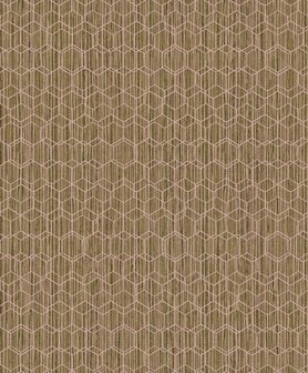 BN Wallcoverings Dimensions 219624 - Groen - Roze