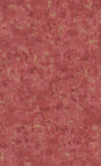 BN Van Gogh 2019 220040 - Rood