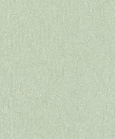 Rasch Deco Style 415377 Groen