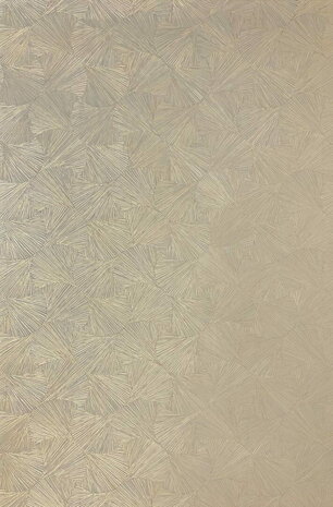 Casamance Nature Précieuse - Textures (Met Gratis Lijm*) 76522548 - Beige / Metallic Goud