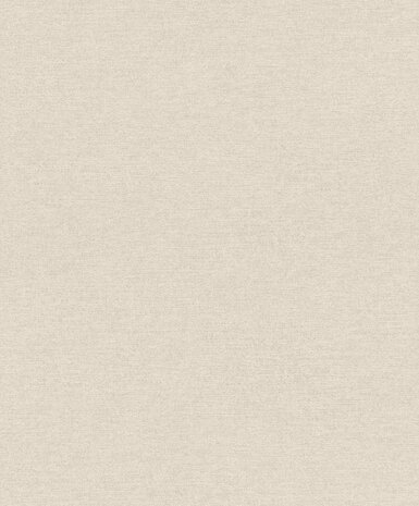 Rasch Schöner Wohnen Cosy Living 600353 Beige