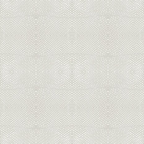 Origin Wallcoverings Raw Elegance (Met Gratis Lijm!) 347309 - Beige