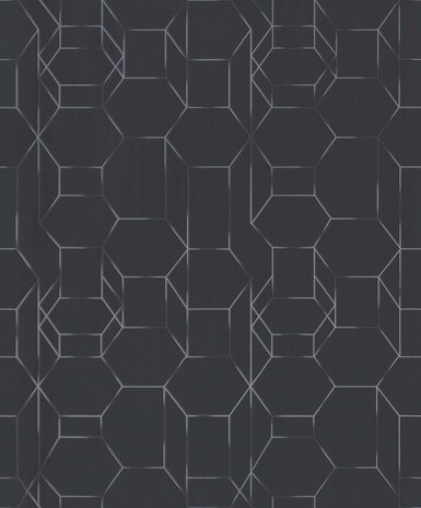 BN Wallcoverings Dimensions 219603 - Zwart