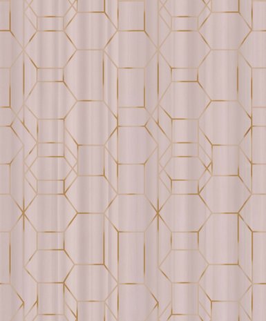 BN Wallcoverings Dimensions 219601 - Roze