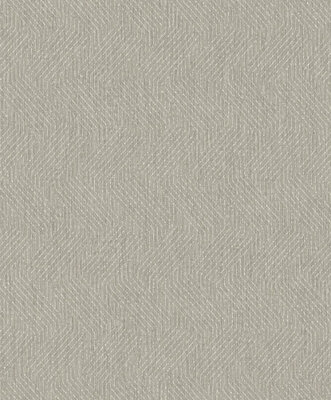 Dutch Wallcoverings Couleurs II / Eden Dessin M359-08