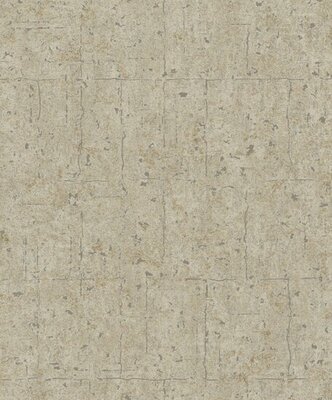 Noordwand Assorti 2024 -  6801-30 Beige - Metallic