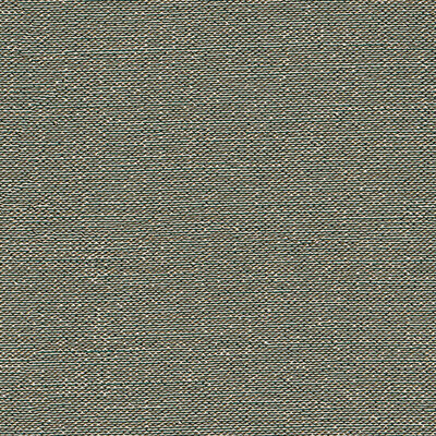 Dutch Wallcoverings Tapestry TP422406 Zwart / Donker Groen