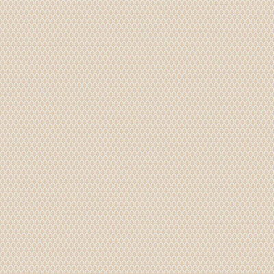 Dutch Wallcoverings Tapestry TP422803 Loop Beige