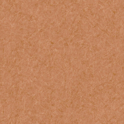 Dutch Wallcoverings Tapestry TP422904 Linen Oranje