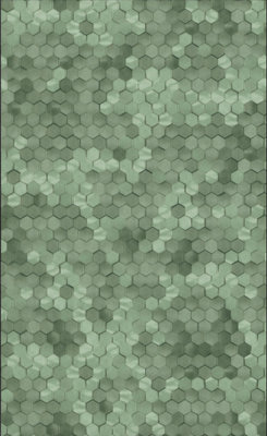 BN Wallcoverings Dimensions 219586 - Groen