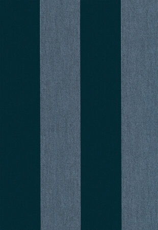 Arte Les Rayures STRIPE VELVET AND LINE 18115