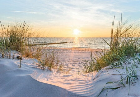 FBK Strand Fotobehang 14020