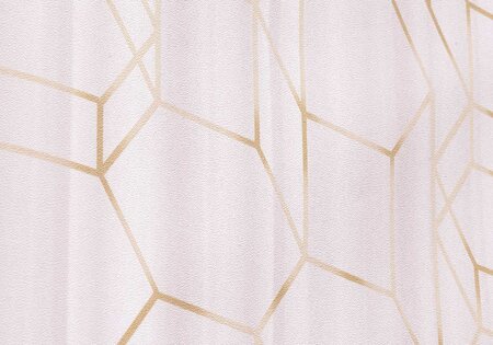 BN Wallcoverings Dimensions 219601 - Roze