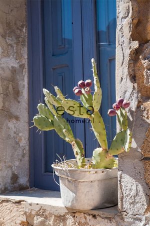 cactus mural 158610 - Groen - Blauw - Beige