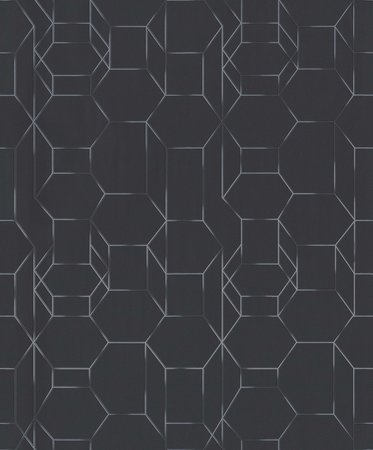 BN Wallcoverings Dimensions 219603 - Zwart